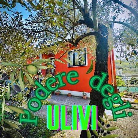 Вілла Podere Degli Ulivi Family Serravalle Pistoiese Екстер'єр фото