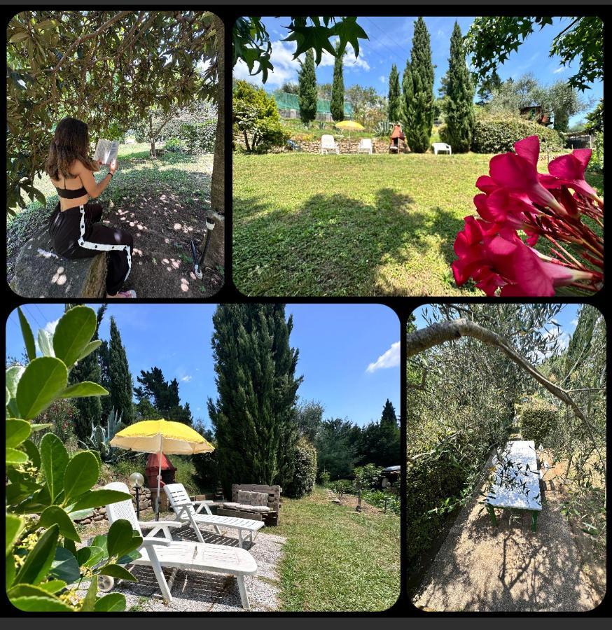 Вілла Podere Degli Ulivi Family Serravalle Pistoiese Екстер'єр фото